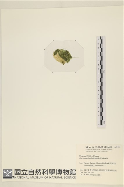 登錄號:A00003439藏品圖，第3張