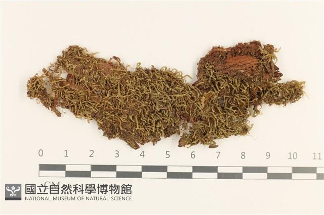登錄號:B00019739藏品圖，第1張
