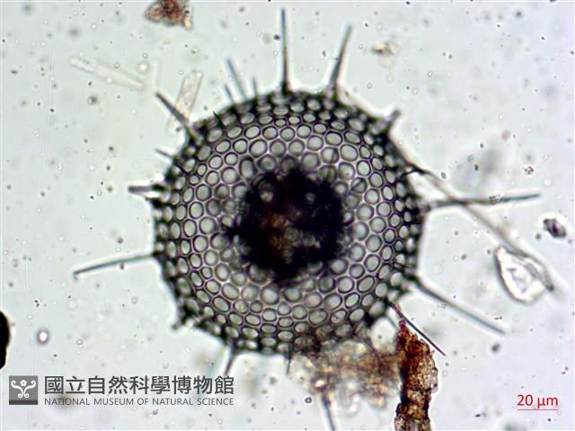 登錄號:A00004659藏品圖，第3張