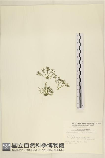 登錄號:A00000759藏品圖，第1張