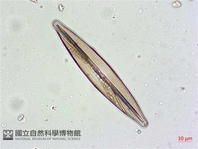 登錄號:A00004629藏品圖，第3張