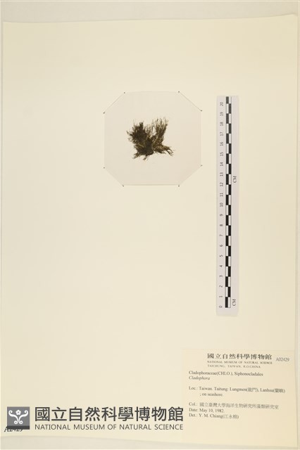 登錄號:A00002429藏品圖，第3張