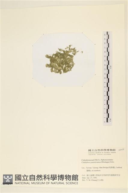 登錄號:A00003429藏品圖，第3張