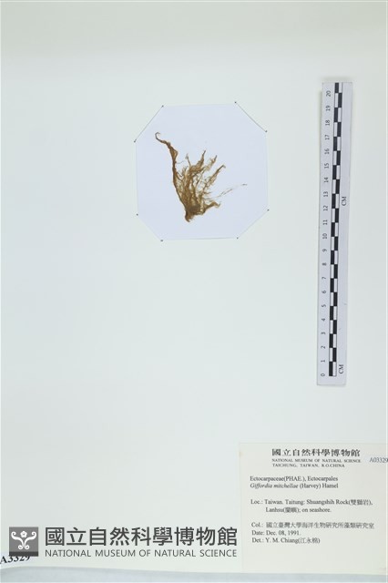 登錄號:A00003329藏品圖，第3張