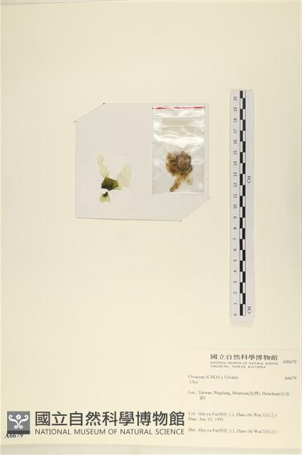 登錄號:A00006679藏品圖，第3張