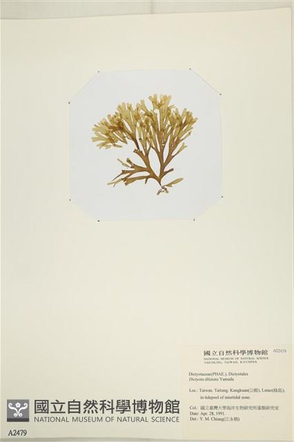 登錄號:A00002479藏品圖，第3張