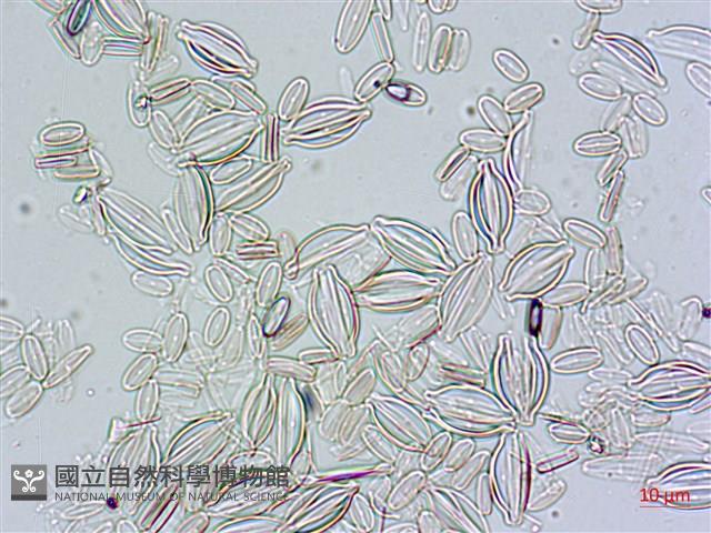 登錄號:A00004479藏品圖，第3張
