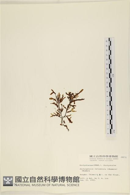 登錄號:A00000779藏品圖，第3張
