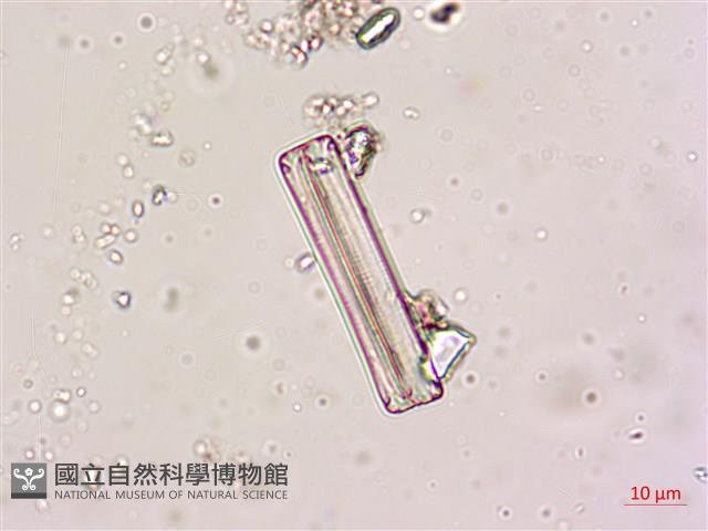 登錄號:A00004619藏品圖，第3張