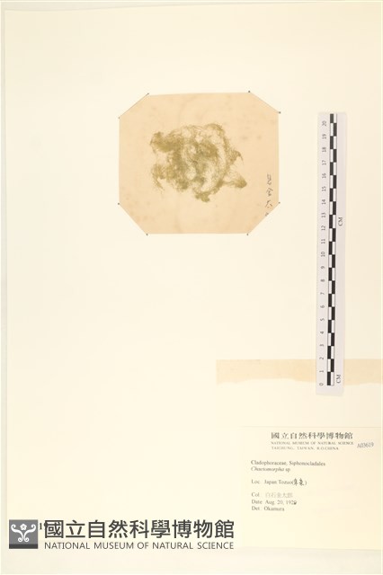 登錄號:A00003619藏品圖，第3張