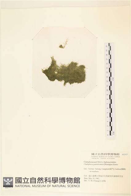登錄號:A00002419藏品圖，第1張