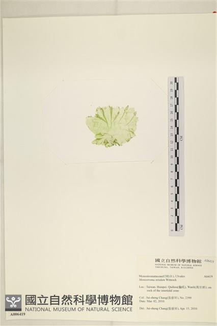 登錄號:A00006419藏品圖，第3張