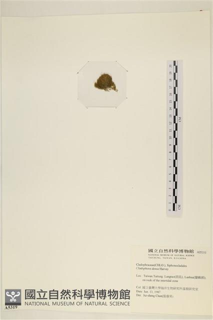 登錄號:A00005319藏品圖，第3張