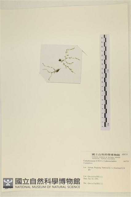 登錄號:A00006719藏品圖，第1張