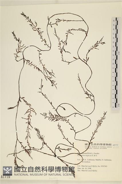 登錄號:A00001719藏品圖，第1張