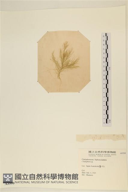 登錄號:A00003599藏品圖，第3張