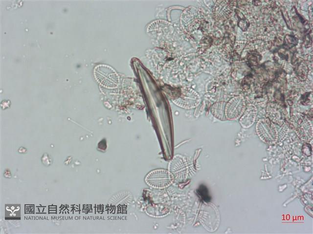 登錄號:A00004499藏品圖，第3張