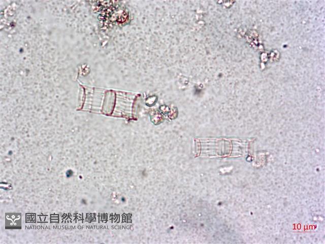 登錄號:A00004649藏品圖，第3張