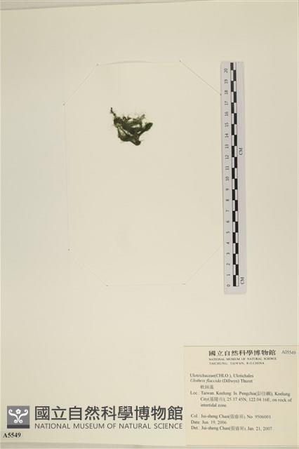 登錄號:A00005549藏品圖，第3張