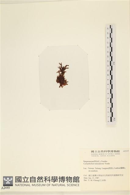 館號:A00002449藏品圖，第3張
