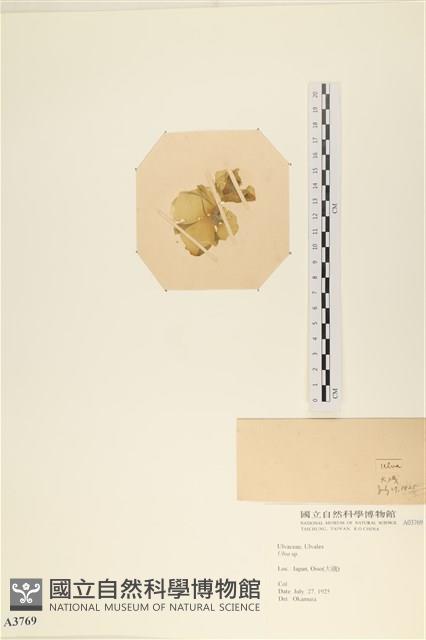 登錄號:A00003769藏品圖，第3張