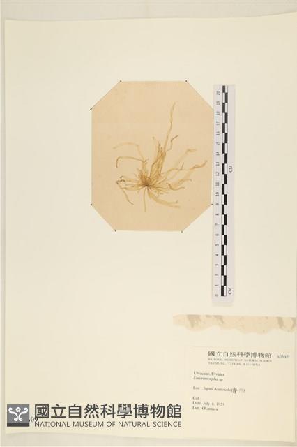 登錄號:A00003609藏品圖，第3張