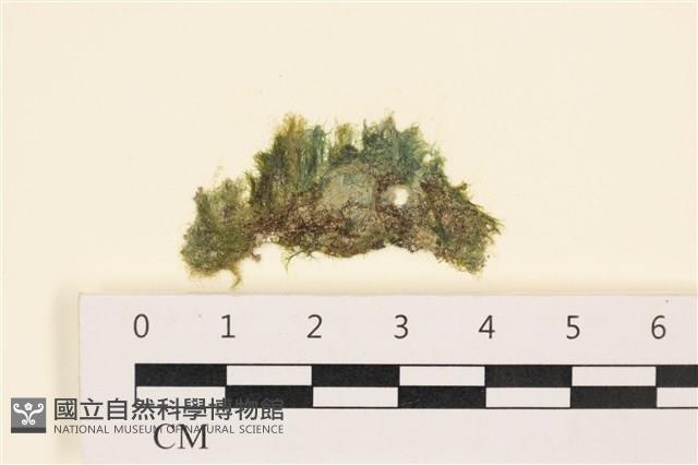 登錄號:A00001009藏品圖，第1張