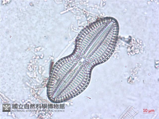 登錄號:A00004509藏品圖，第3張