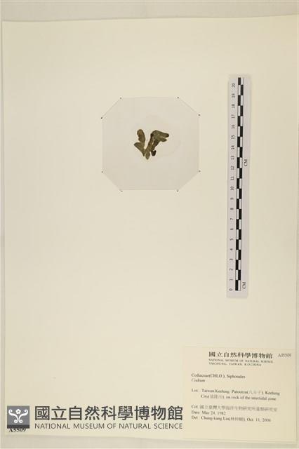 登錄號:A00005509藏品圖，第3張