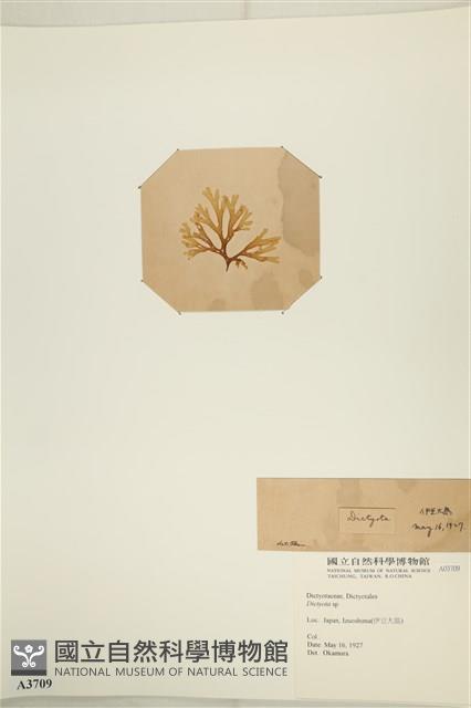 登錄號:A00003709藏品圖，第3張