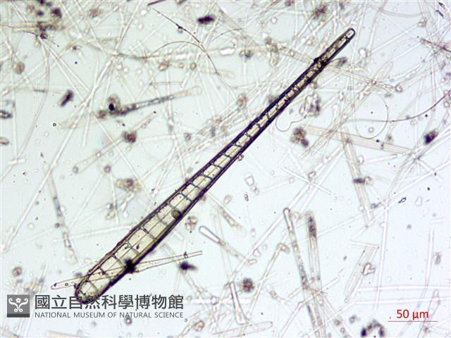 登錄號:A00004589藏品圖，第3張