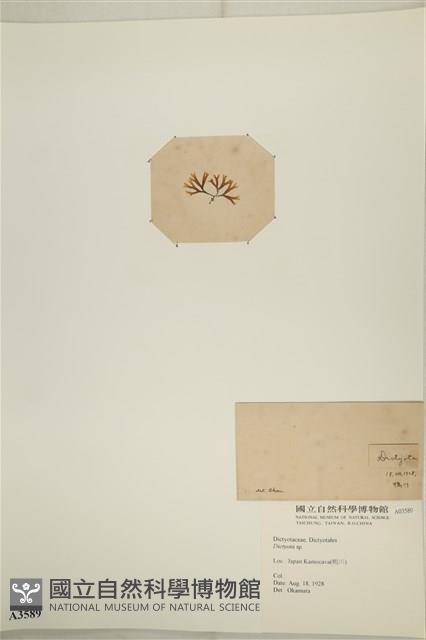 登錄號:A00003589藏品圖，第3張