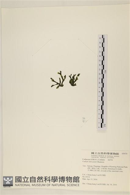 登錄號:A00006536藏品圖，第3張