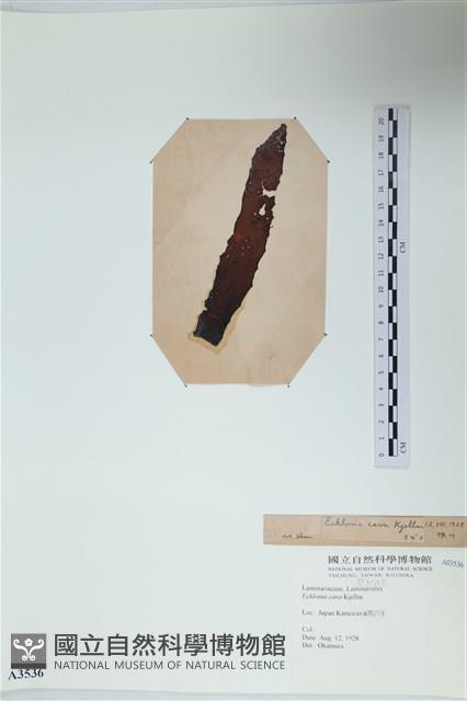 登錄號:A00003536藏品圖，第3張