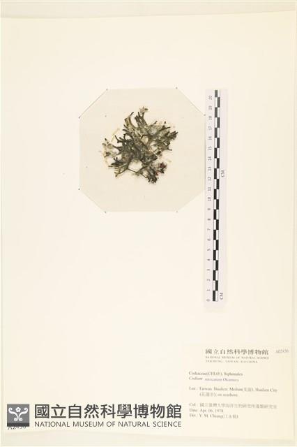 登錄號:A00002436藏品圖，第3張