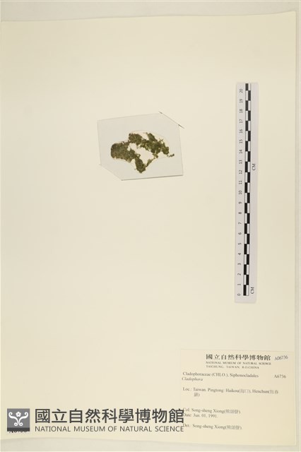 登錄號:A00006736藏品圖，第2張