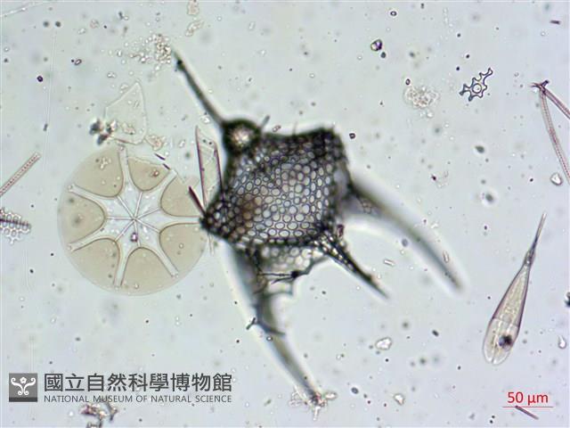 登錄號:A00004656藏品圖，第3張