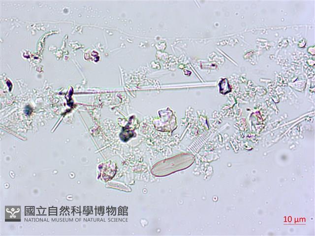 登錄號:A00004556藏品圖，第3張