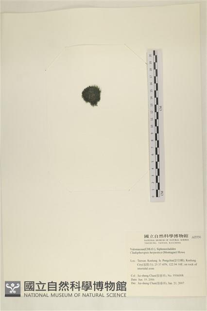 登錄號:A00005556藏品圖，第3張