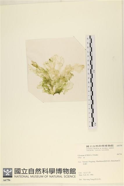 登錄號:A00006756藏品圖，第3張