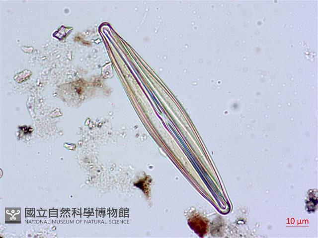 登錄號:A00004626藏品圖，第3張