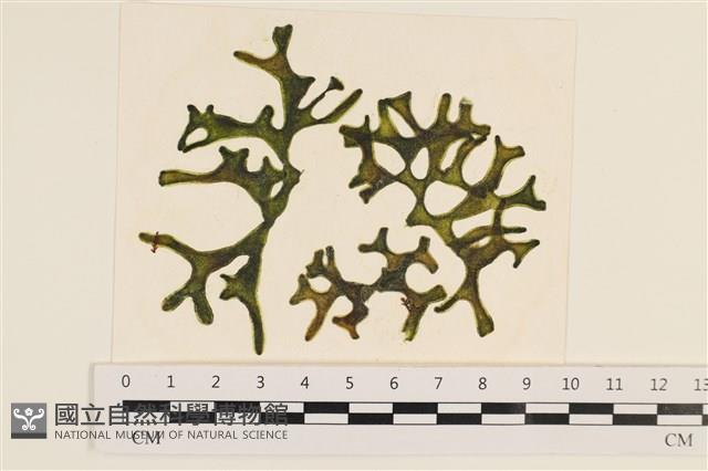 登錄號:A00005126藏品圖，第1張