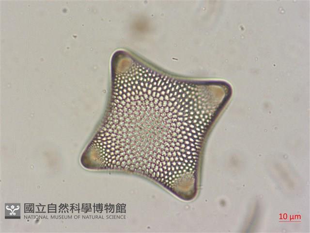 登錄號:A00004526藏品圖，第3張