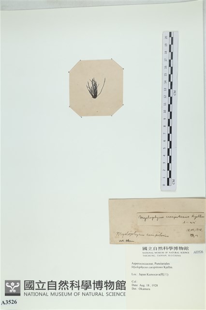 登錄號:A00003526藏品圖，第3張