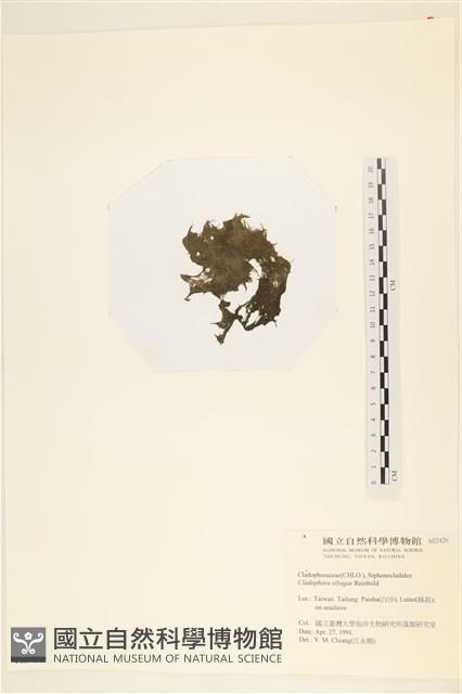 登錄號:A00002426藏品圖，第3張