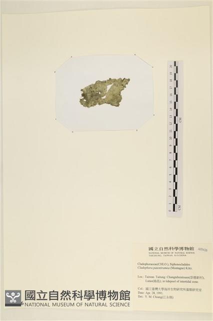 登錄號:A00003426藏品圖，第3張