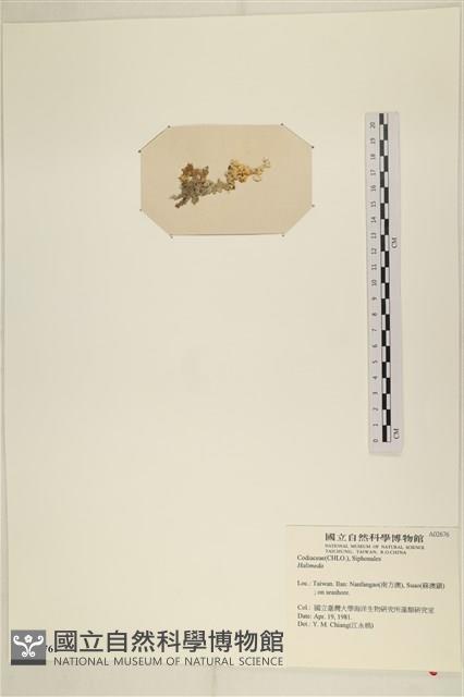 登錄號:A00002676藏品圖，第3張