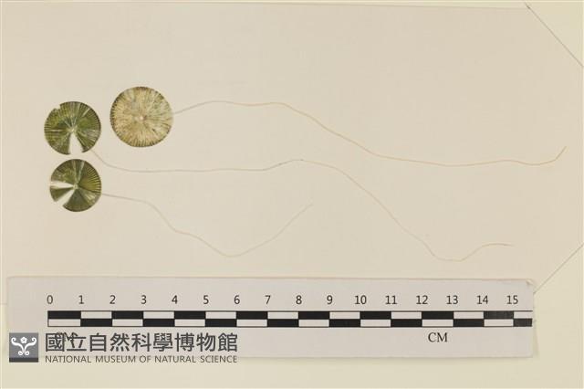 登錄號:A00005076藏品圖，第1張