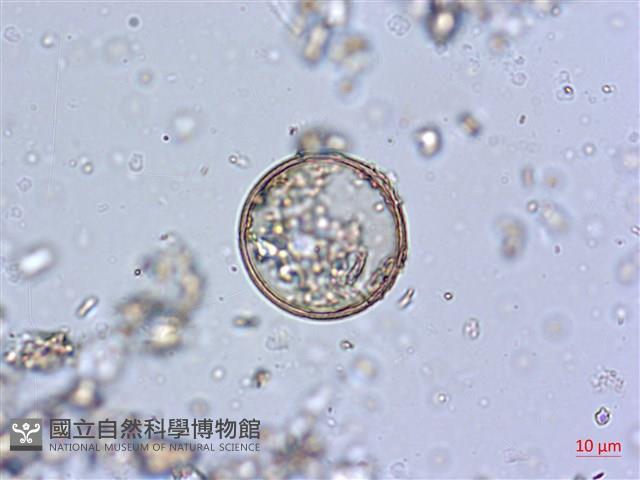 登錄號:A00004576藏品圖，第3張