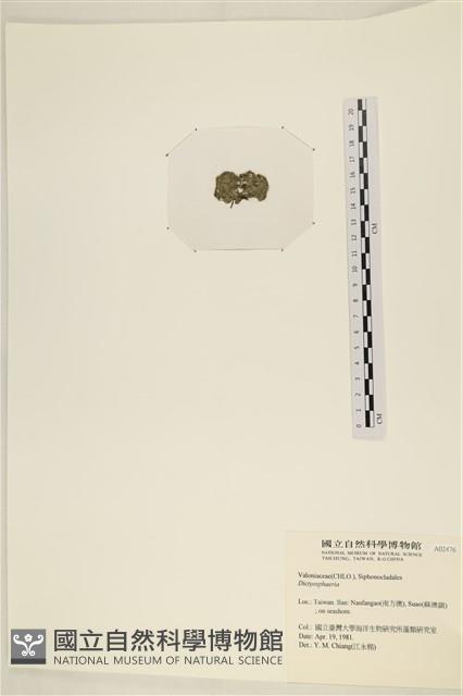 登錄號:A00002476藏品圖，第3張